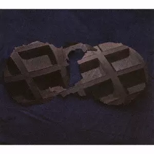 DIRTY PROJECTORS / ダーティ・プロジェクターズ / DIRTY PROJECTORS / ダーティー・プロジェクターズ