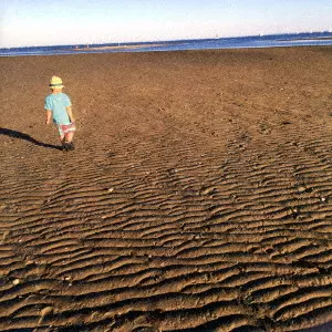 KENJI OZAWA / 小沢健二 / 流動体について