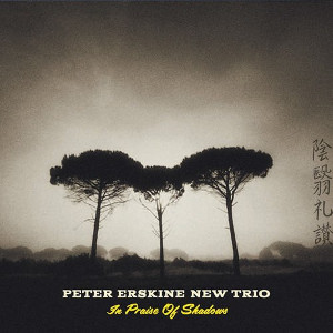 PETER ERSKINE / ピーター・アースキン / In Praise Of Shadows