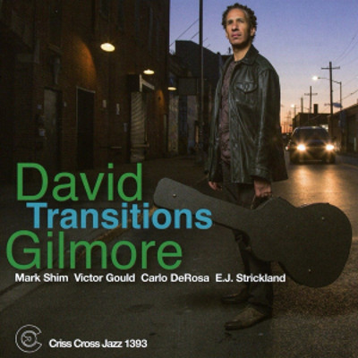 DAVID GILMORE / デヴィッド・ギルモア / Transitions