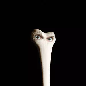 JUANA MOLINA / フアナ・モリーナ商品一覧｜JAZZ｜ディスク