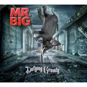 MR. BIG Defying Gravity 限定版ボックスセット DEFYING GRAVITY / デファイング・グラヴィティ/MR. BIG/ミスター