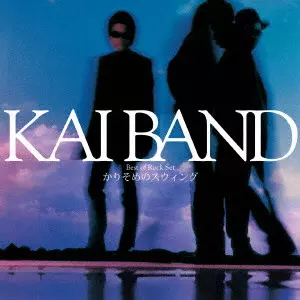 BIG NIGHT ~KAI BAND LIVE AT BUDOKAN 1996~/KAI BAND/甲斐バンド/解散
