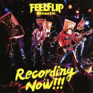 廃盤 FEELFLIP CD DVD デモ DEMO TNA FEELFLIP商品一覧｜ディスクユニオン・オンラインショップ｜diskunion.net