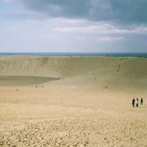 すばらしか商品一覧｜JAPANESE ROCK・POPS / INDIES｜ディスク