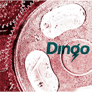 DINGO / DINGO