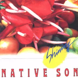 30枚おまとめセット❗️★ネイティブ・サン★レコード★ NATIVE SON / ネイティブ・サン商品一覧｜PROGRESSIVE ROCK