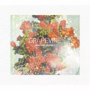 ★未開封★ GRAPEVINE 愚かな者の語ること 初回限定盤 CD+DVD 91XsuVixXKL._UF350,350_QL50_.jpg