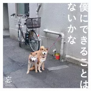忘れらんねえよ / 僕にできることはないかな