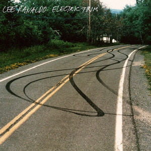 LEE RANALDO / リー・ラナルド / ELECTRIC TRIM / Electric Trim
