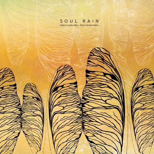 PABLO CAHN / SOUL RAIN