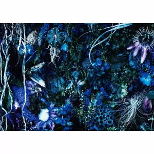 ONENESS M/SUGIZO/初回限定盤 / ソロデビュー20周年記念 / 特典