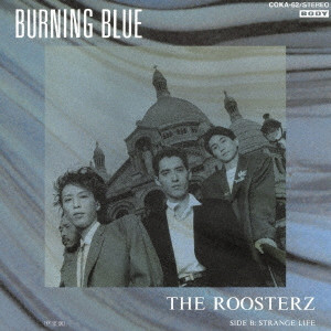 レア ルースターズ THE ROOSTERS→Z ULTIMATE LP BOX