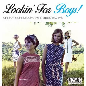 V.A. (GIRL POP/FRENCH POP) / ルッキン・フォー・ボーイズ~60'Sガールズ・ポップ蔵出し名曲選
