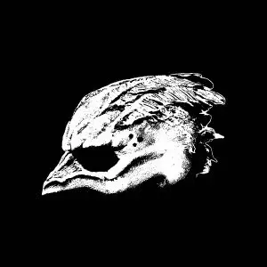 LEGEND OF THE SEAGULLMEN / レジェンド・オブ・ザ・シーガルメン / LEGEND OF THE SEAGULLMEN / レジェンド・オブ・ザ・シーガルメン