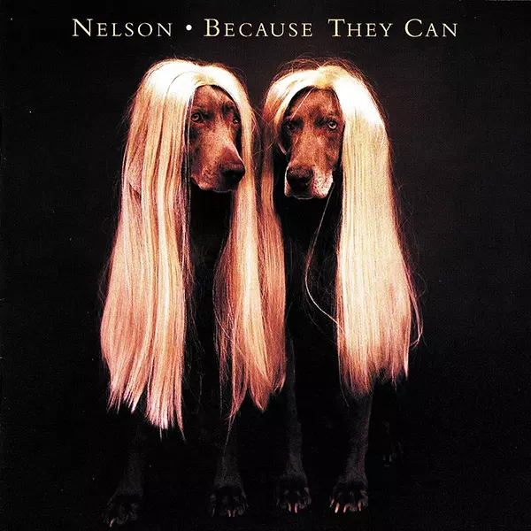 NELSON / after the rain 輸入盤レコード Side Effect / After The Rain | VINYL7 RECORDS