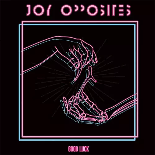 JOY OPPOSITES / Good Luck