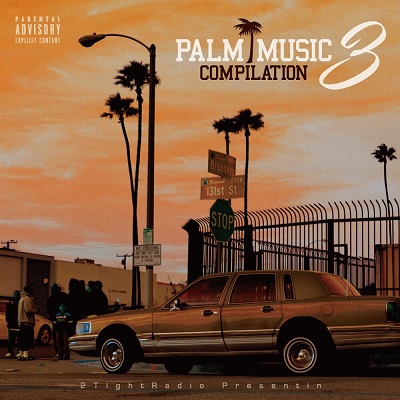 (V.A.) / PALM MUSIC COMPILATION 3