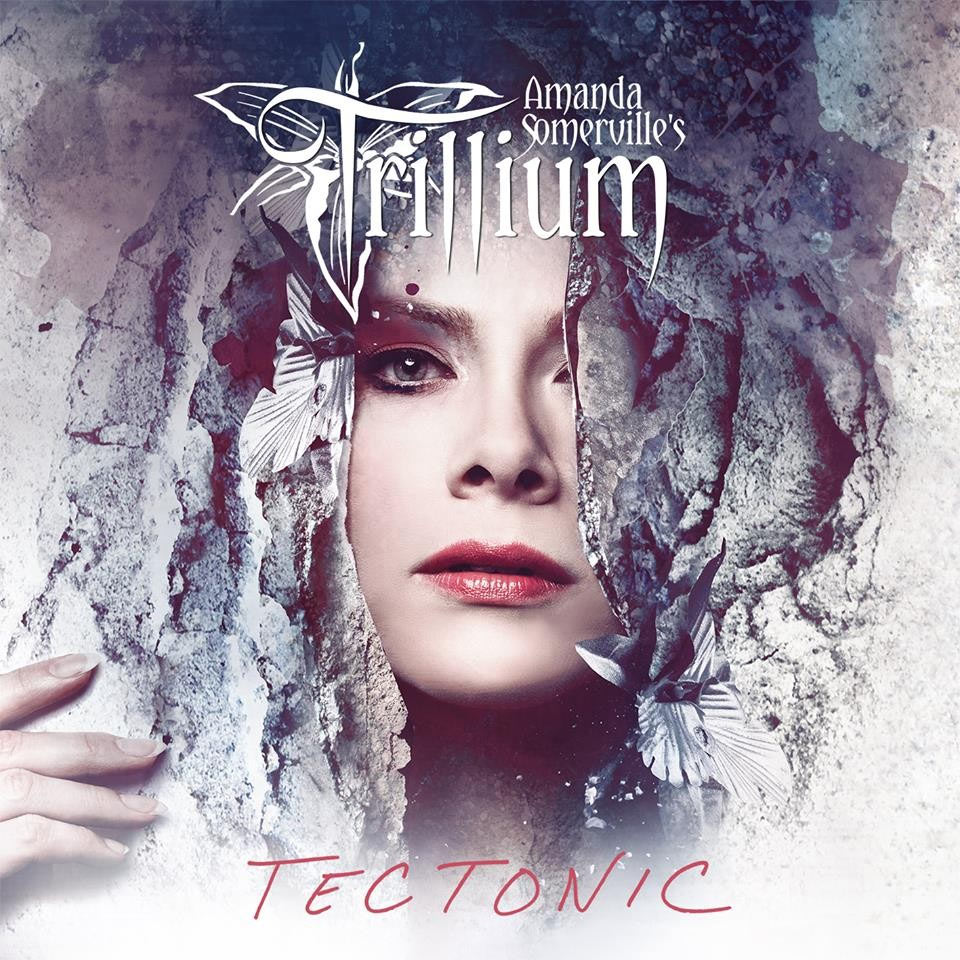 TRILLIUM / トリリアム / TECTONIC / テクトニック