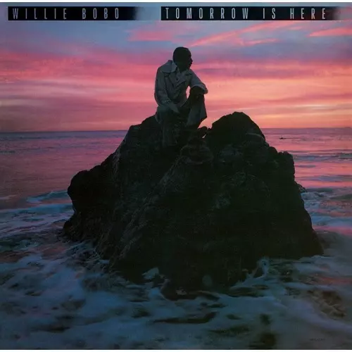 ☆サバービア掲載盤☆ウィリー・ボボ名盤2枚セット WILLIE BOBO