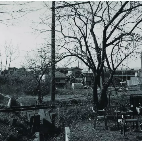 KEIJI HAINO (experimental mixture) / 灰野敬二 / HAINO KEIJI MUSQIS / 灰野敬二 MUSQIS