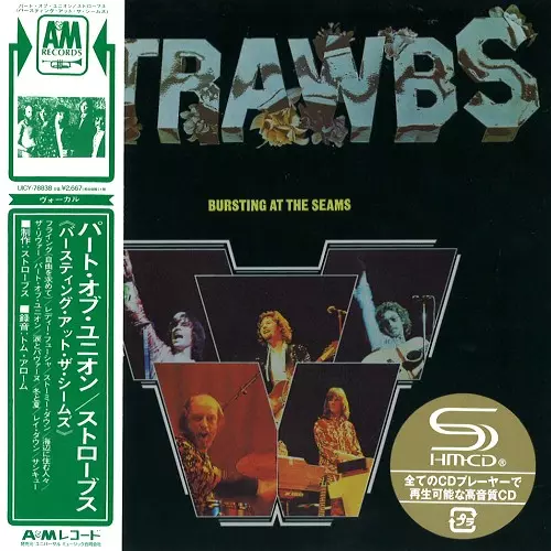 BURSTING AT THE SEAMS - SHM-CD/2018 REMASTER / バースティング