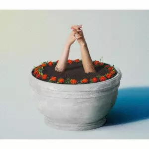 青春のエキサイトメント/AIMYON/あいみょん｜平成J-POP｜ディスク