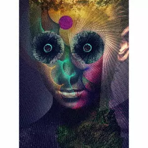 THE INSULATED WORLD/DIR EN GREY/ディル・アン・グレイ/完全生産限定