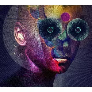 THE INSULATED WORLD/DIR EN GREY/ディル・アン・グレイ/初回生産限定