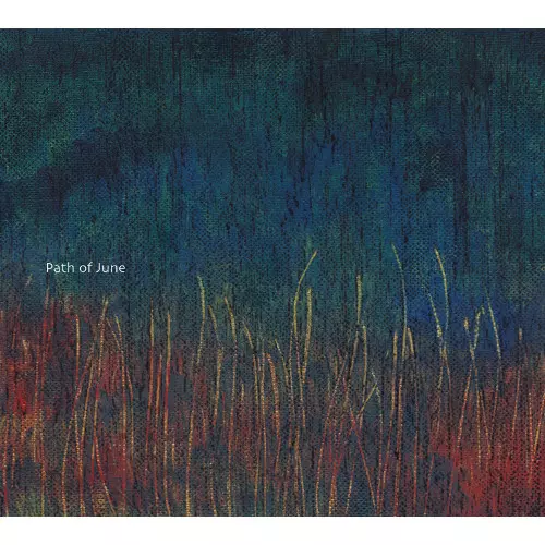 TAKUMI SEINO / 清野拓巳 / Path of June / パス・オブ・ジューン