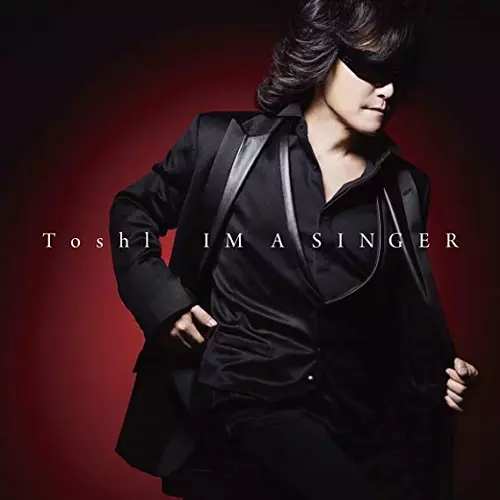 その他 toshi Toshl 365日の紙飛行機(AKB48さんカバー) - YouTube