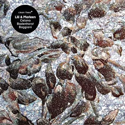 C.B.G.商品一覧｜OLD ROCK｜ディスクユニオン・オンラインショップ