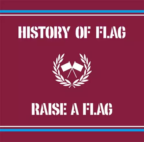 HISTORY OF FLAG/RAISE A FLAG/結成25周年記念｜PUNK｜ディスク