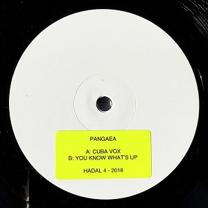 PANGAEA / CUBA VOX (UK)