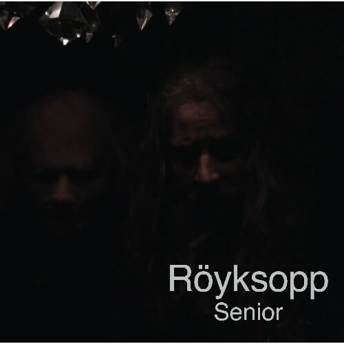 ROYKSOPP / ロイクソップ / SENIOR (LTD)