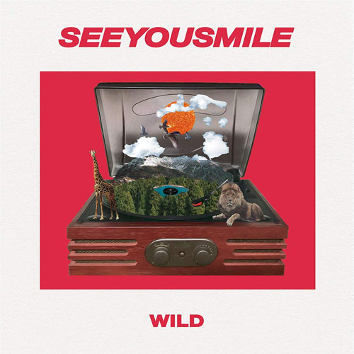 See You Smile / WILD