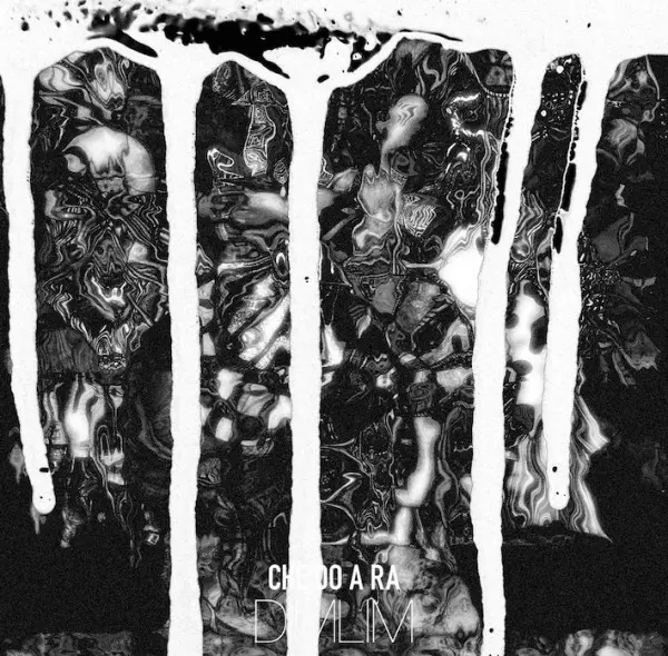 DIMLIM VARIOUS 通常盤 DIMLIM商品一覧｜JAZZ｜ディスクユニオン・オンラインショップ