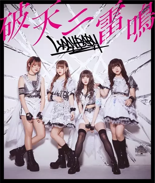 新品CD LADYBABY / ダメダメ殿 新品CD LADYBABY / ダメダメ殿 CD