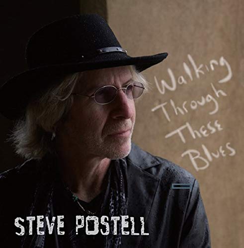 STEVE POSTELL / スティーヴ・ポステル / WALKING THROUGH THESE BLUES / ウォーキング・スルー・ジーズ・ブルース