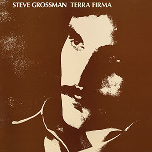 STEVE GROSSMAN / スティーヴ・グロスマン / テラ・ファーマ