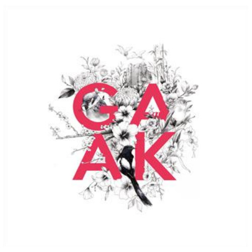 GAAK PROJECT / 歌楽プロジェクト / SOAR / 跳躍