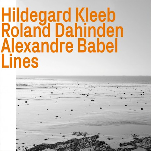 HILDEGARD KLEEB / Lines
