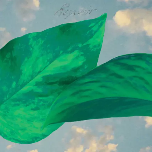 RESAVOIR / レザヴォア / Resavoir(LP)