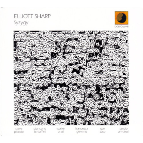 ELLIOTT SHARP / エリオット・シャープ / Syzygy