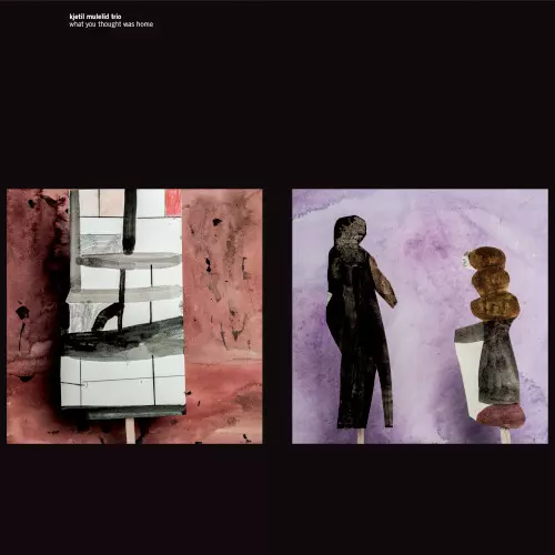 KJETIL MULELID / What You Thought Was Home
