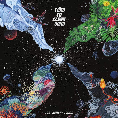 JOE ARMON-JONES / ジョー・アーモン・ジョーンズ / Turn To Clear View / ターン・トゥ・クリア・ビュー