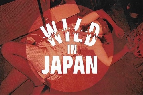 V.A. (WILD IN JAPAN) / WILD IN JAPAN