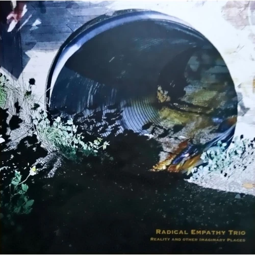 RADICAL EMPATHY TRIO / Reality and Other Imaginary Places(LP)