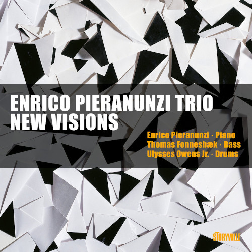 ENRICO PIERANUNZI / エンリコ・ピエラヌンツィ / New Visions / ニュー・ヴィジョンズ