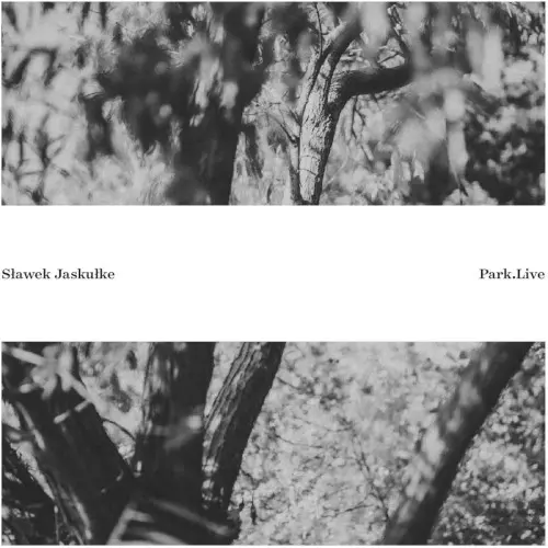 洋楽 Slawek Jaskulke Musicaanossa LP】MUSICAÄNOSSA Slawek Jaskulke ムジカノッサ スワヴェク